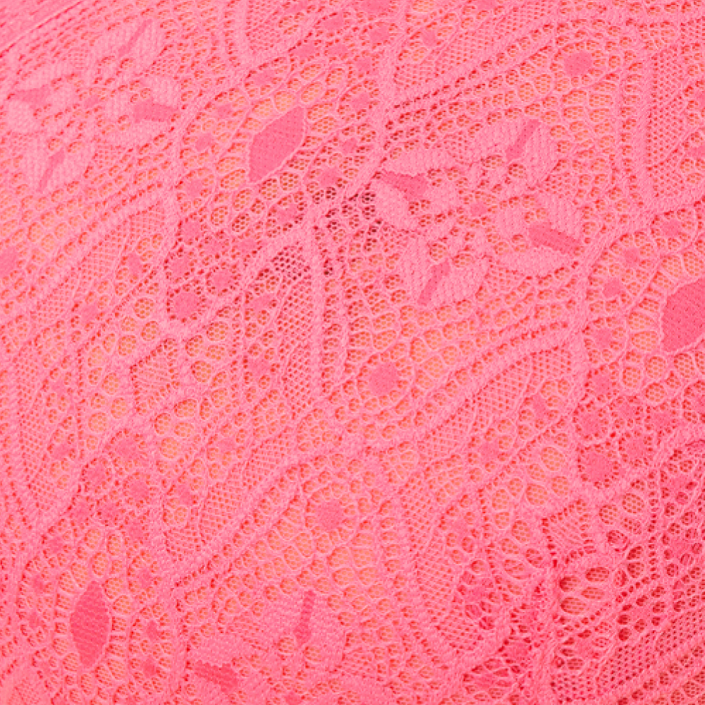 SC Bestie Bra Feature lace